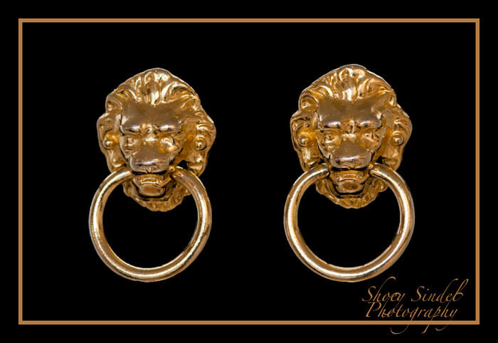 Lion Door Knockers